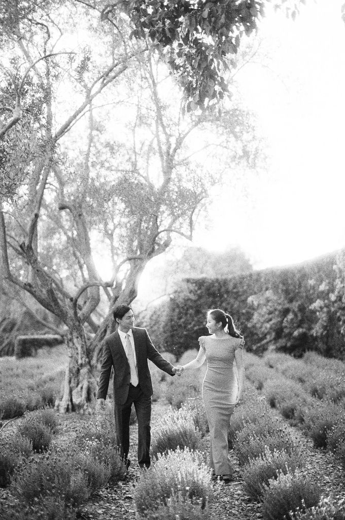 Chinese Tea Ceremony & Wedding in the Lavender Gardens of San Ysidro Ranch by Jen Huang Photo - 007 Chinese Tea Ceremony & Wedding in the Lavender Gardens of San Ysidro Ranch by Jen Huang Photo - 007