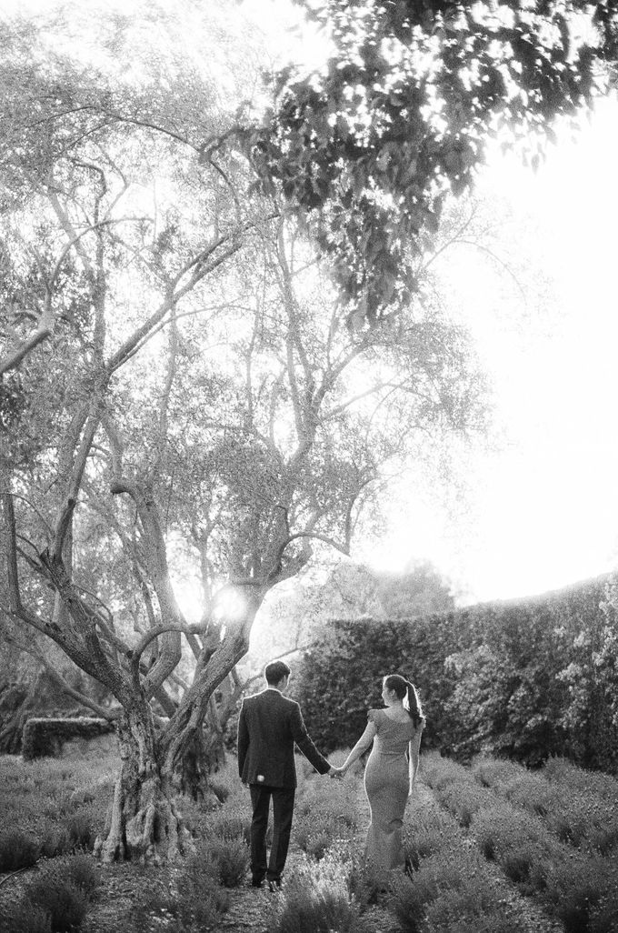 Chinese Tea Ceremony & Wedding in the Lavender Gardens of San Ysidro Ranch by Jen Huang Photo - 009 Chinese Tea Ceremony & Wedding in the Lavender Gardens of San Ysidro Ranch by Jen Huang Photo - 009