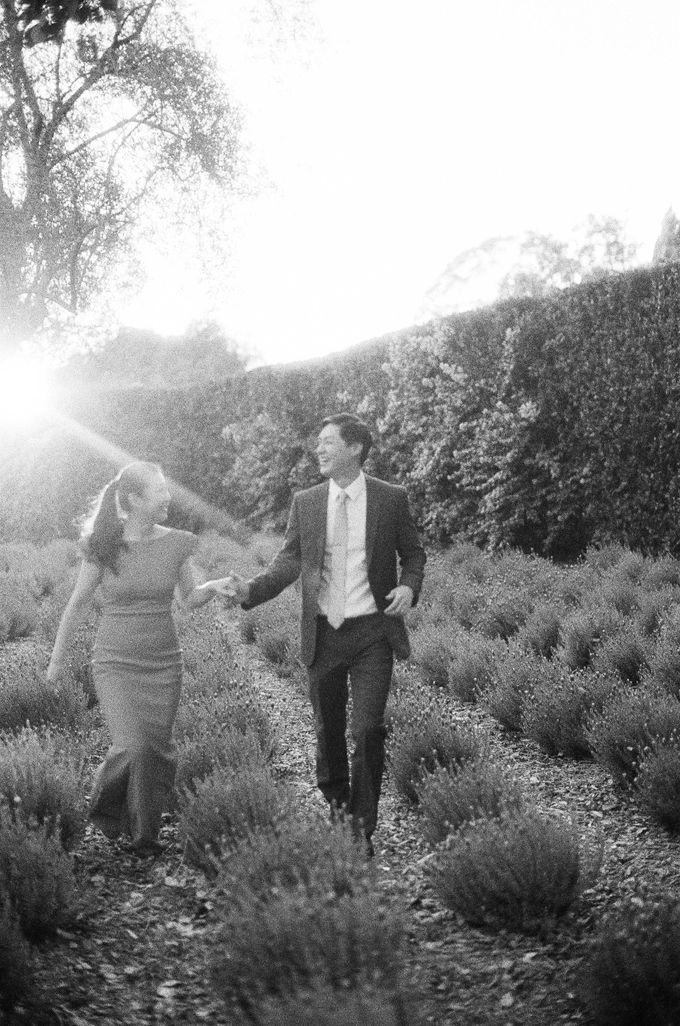Chinese Tea Ceremony & Wedding in the Lavender Gardens of San Ysidro Ranch by Jen Huang Photo - 004 Chinese Tea Ceremony & Wedding in the Lavender Gardens of San Ysidro Ranch by Jen Huang Photo - 004