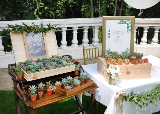 Desert Garden by Blanc Studios - 001 Desert Garden by Blanc Studios - 001