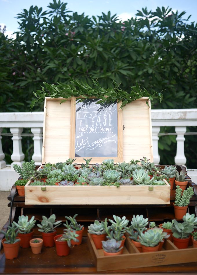 Desert Garden by Blanc Studios - 003 Desert Garden by Blanc Studios - 003