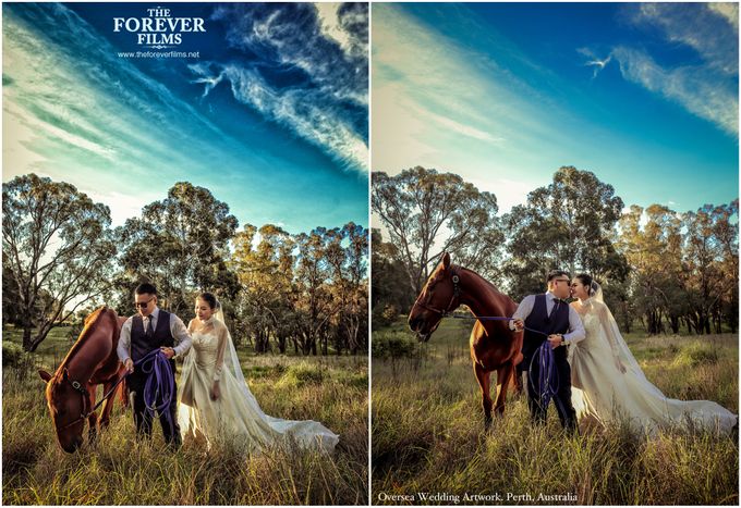 Oversea Wedding Artwork - Perth Australia by The Forever Films - 009 Oversea Wedding Artwork - Perth Australia by The Forever Films - 009