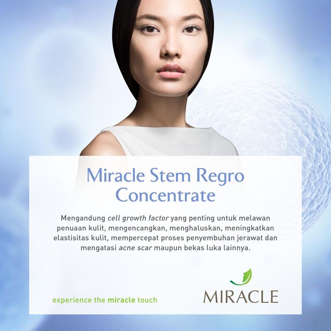 Miracle Prewed RESHAPING Package by Miracle Aesthetic Clinic - 004 Miracle Prewed RESHAPING Package by Miracle Aesthetic Clinic - 004